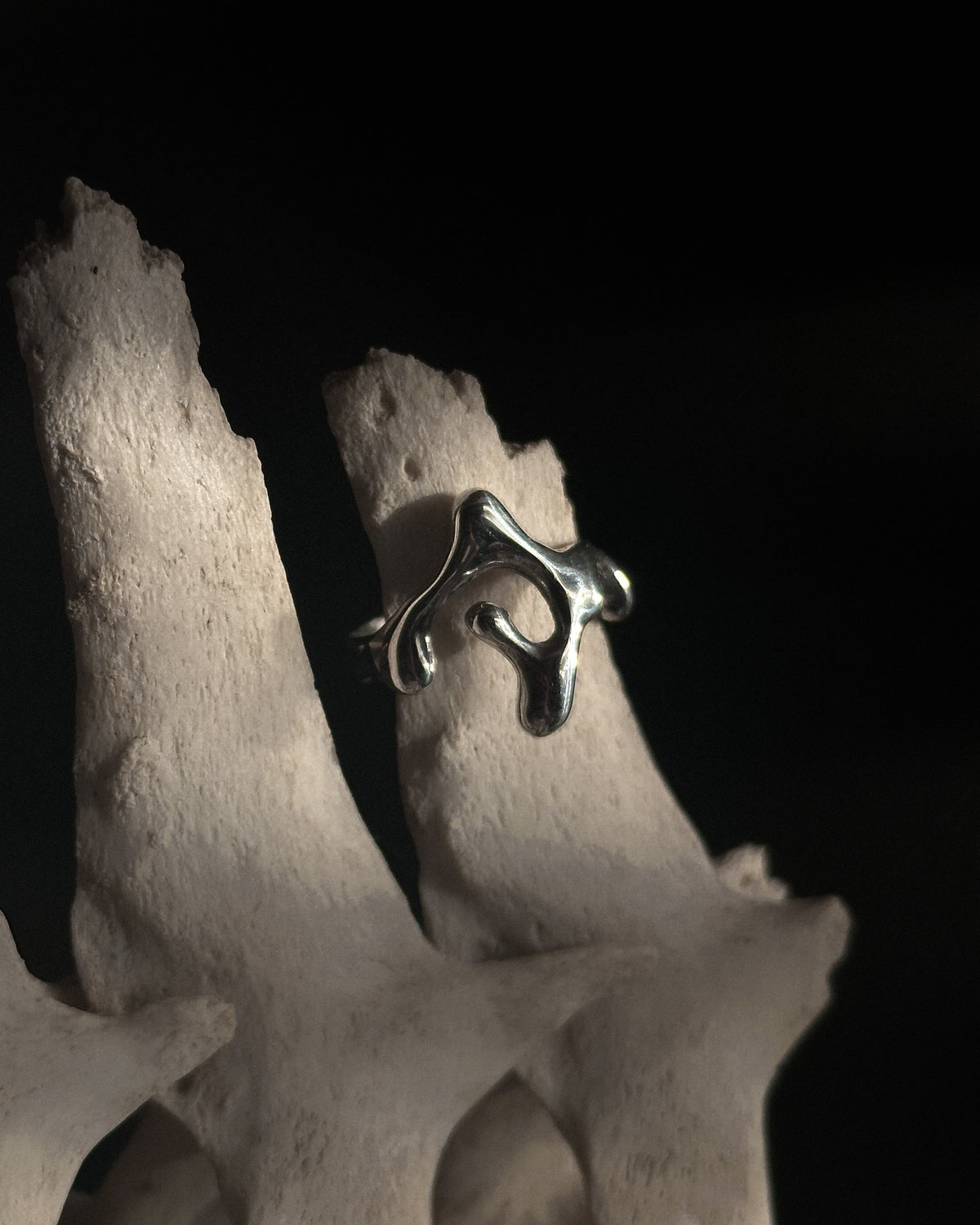 DRIPPING RING