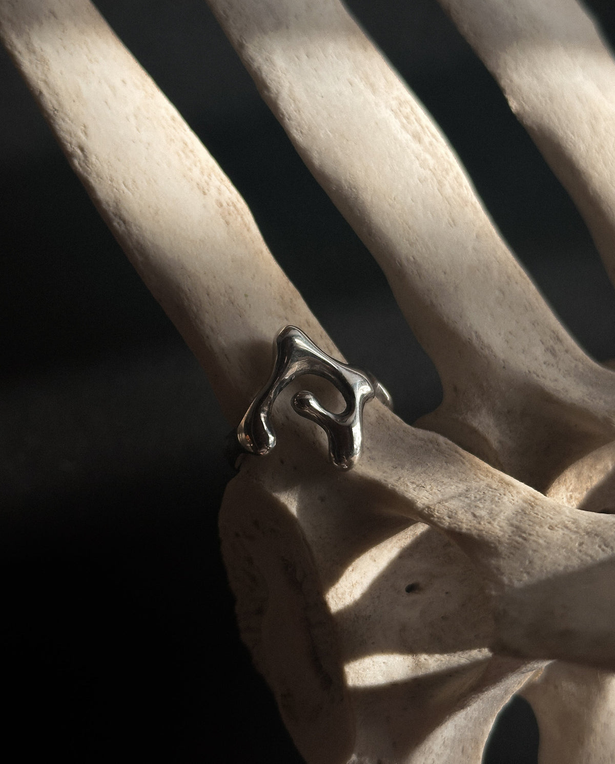 DRIPPING RING
