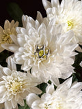 SPIKY RING